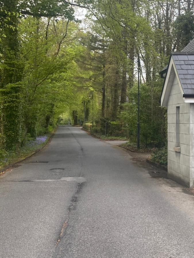 3 The Courtyard Castle Dargan Appartement Ballygawley Buitenkant foto
